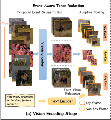 METok: Multi-Stage Event-Based Token Compression for Efficient Long Video Understanding